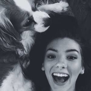 Meet your Posher, Claire